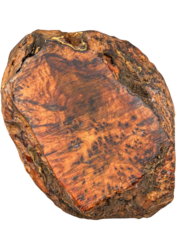 Boule de loupe de Thuya du Maroc – 10,8 kg – env. 400 × 330 × 180 mm